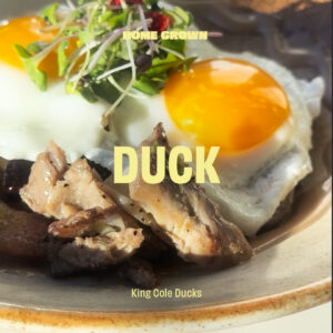 HG26-LP-Supplier-Ducks-1080x1080