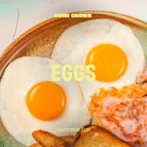 HG26-LP-Supplier-Eggs-1080x1080