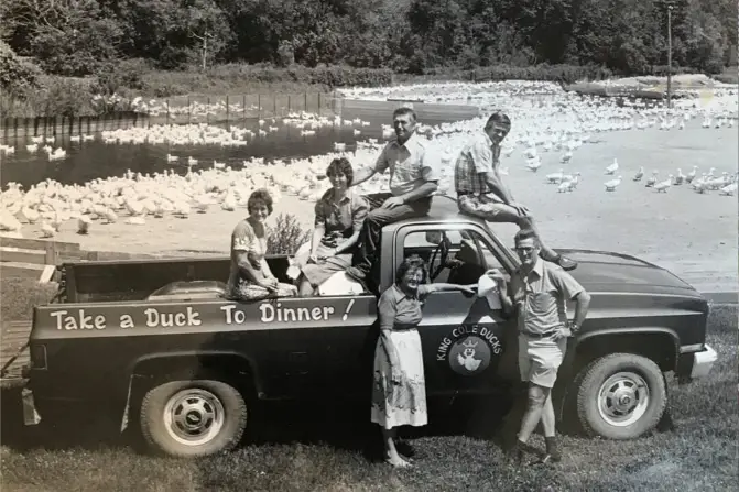 King Cole Ducks