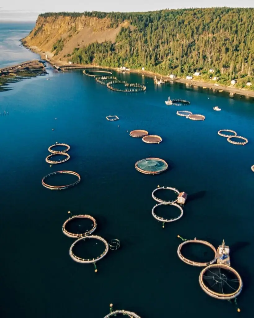 Canada Smoked Fish Farm